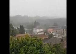 Enlace a Un rayo fulmina por completo un árbol en Francia