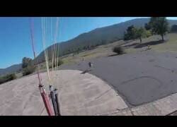 Enlace a Paracaidista es atacado por canguros nada más aterrizar