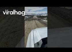 Enlace a Cuando una manada de caribúes viene hacia tí