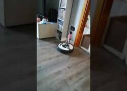 Enlace a Cómo hacer que tu roomba luzca perfecta