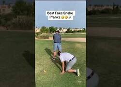 Enlace a ¡Hay una serpiente en el campo de golf!