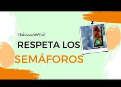 Enlace a Perro respeta el semáforo para cruzar la calle