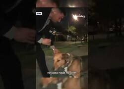 Enlace a Adopta a Bruno, el perro más cariñoso del mundo