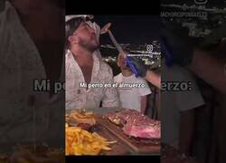 Enlace a Mi perro en el almuerzo