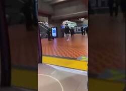 Enlace a Al menos no perdió el tren