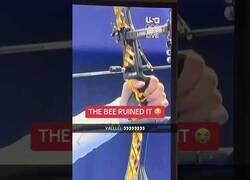 Enlace a Abeja arruina un lanzamiento de tiro con arco en los Juegos Olímpicos