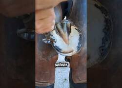 Enlace a Restauración satisfactoria de herraduras