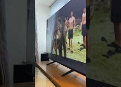 Enlace a Perro vive con tensión la película 'Crepúsculo'