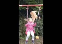 Enlace a Gato hacer caer a una pequeña niña del columpio