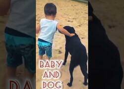 Enlace a Perro ayuda a bebé a dar sus primeros pasos