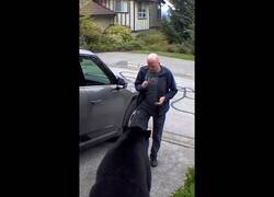 Enlace a Se encuentra un oso en su garaje y consigue hacer que se vaya