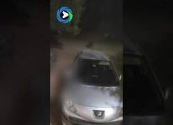 Enlace a Un jabalí ataca con furia a dos hombres y un perro en un parking de Andalucía