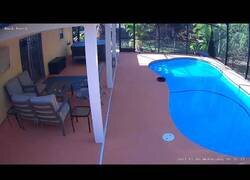 Enlace a Cuando tu roomba se escapa de casa para darse un baño