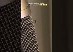 Enlace a Cuando un mosquito se posa en el micrófono