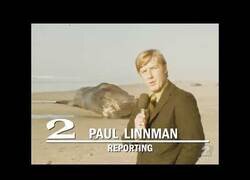 Enlace a El día que explotaron una ballena con dinamita en Oregon