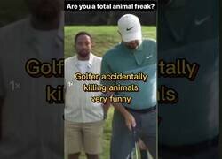 Enlace a Hoy no era el día para este golfista