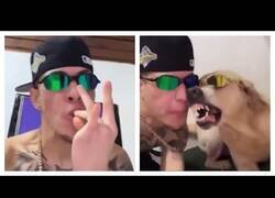 Enlace a El mejor dúo de beatbox que verás hoy