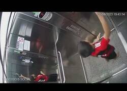 Enlace a Niño salva a un perro cuya correa había quedado atrapada en un ascensor