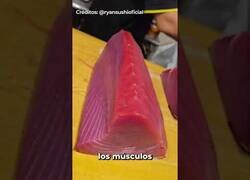 Enlace a ¿Por qué el atún se ve así?