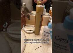 Enlace a Cuando te encuentras un pequeño ratón en tu baño