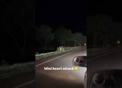 Enlace a A este elefante le gusta provocar mini infartos