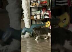 Enlace a Este gato no se lleva bien con el globo de dinosaurio