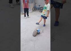 Enlace a Un armadillo jugando a fútbol