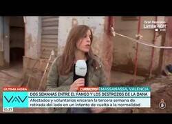 Enlace a Pedro HDP: La interpretación viral de esta reportera
