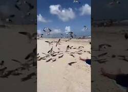 Enlace a Cuando vas a la playa con tus amigos y te quedas dormido