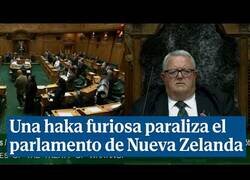Enlace a Una haka furiosa paraliza el parlamento de Nueva Zelanda