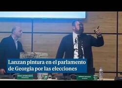 Enlace a Lanzan pintura al jefe electoral de Georgia en el parlamento