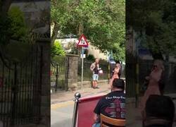 Enlace a Gaviota espera pacientemente para robar a su víctima