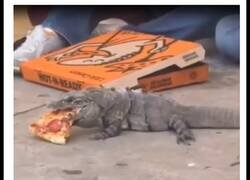 Enlace a Compartiendo pizza con una iguana