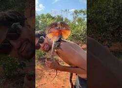 Enlace a Cosas que solo te pueden pasar en Australia