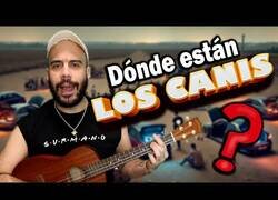 Enlace a ¿Dónde están los canis?