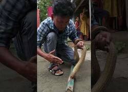 Enlace a Salvando a una serpiente que había quedado atascada