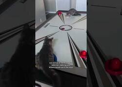 Enlace a Cuando compras una mesa de hockey para los niños pero la usan más los gatos