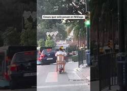 Enlace a Cosas que solo pasan en Málaga