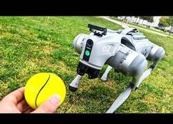 Enlace a Así es tener una mascota robot