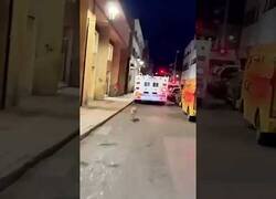 Enlace a Perro corre detrás de la ambulancia donde iba su dueño y cuando se dan cuenta le dejan subir