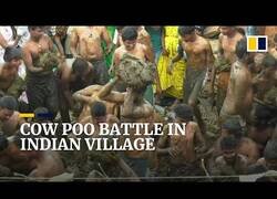 Enlace a Pelea de heces de vaca en la India