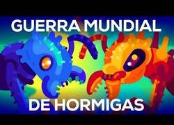 Enlace a La Guerra Mundial de las Hormigas