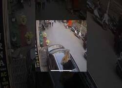 Enlace a Cuando aparcas tu coche y te cae un mono encima