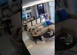 Enlace a El gato pasivo-agresivo
