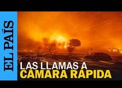 Enlace a Timelapse de los destrozos causados por los incendios en California