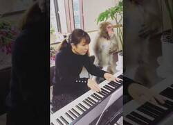 Enlace a Mi profesor de piano es muy exigente
