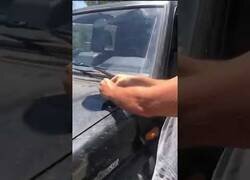Enlace a Intentando freir un huevo en el capó del coche