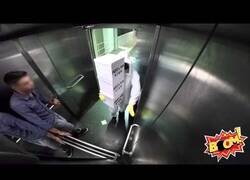 Enlace a Cámara oculta: Abejas en el ascensor