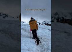 Enlace a Pingüino espera a que dos humanos se aparten para seguir con su camino