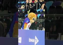 Enlace a La mascota del equipo no volvió a ser la misma desde ese día